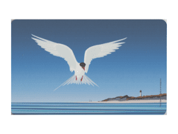 Zeige Details für Frühstücksbrettchen Küstenseeschwalbe vor Sylt Bild von Frühstücksbrettchen Küstenseeschwalbe vor Sylt