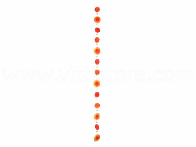 Bild von Muschelkette bicolor orange-rot-gelb