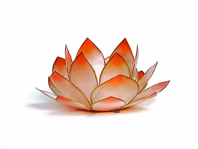 Bild von Lotus-Licht Sonnenaufgang mandarin