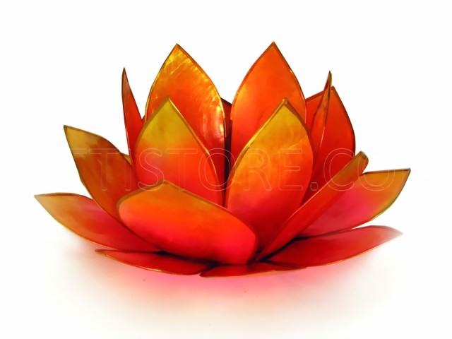 Bild von Lotus-Licht Sonnenaufgang pink-gelb
