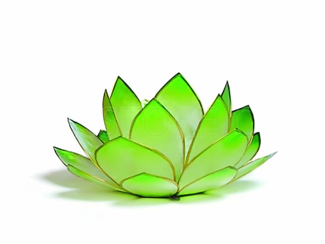 Bild von Lotus-Licht Sonnenaufgang limonengrün