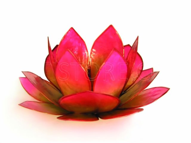 Bild von Lotus-Licht Sonnenaufgang grün-pink