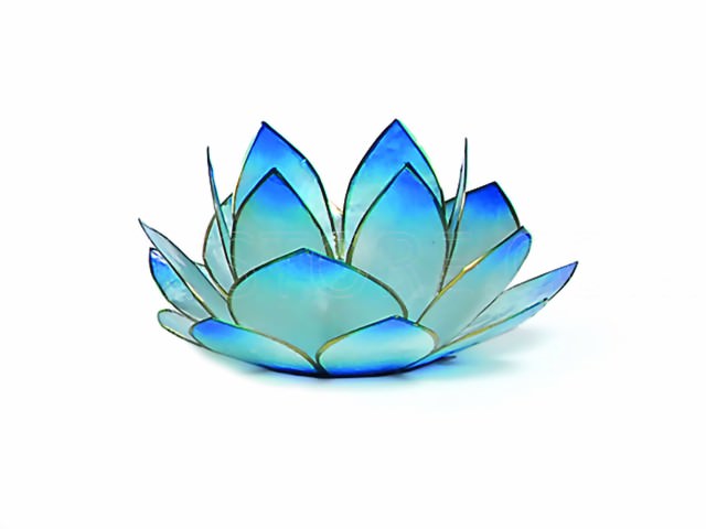 Bild von Lotus-Licht Sonnenaufgang türkis