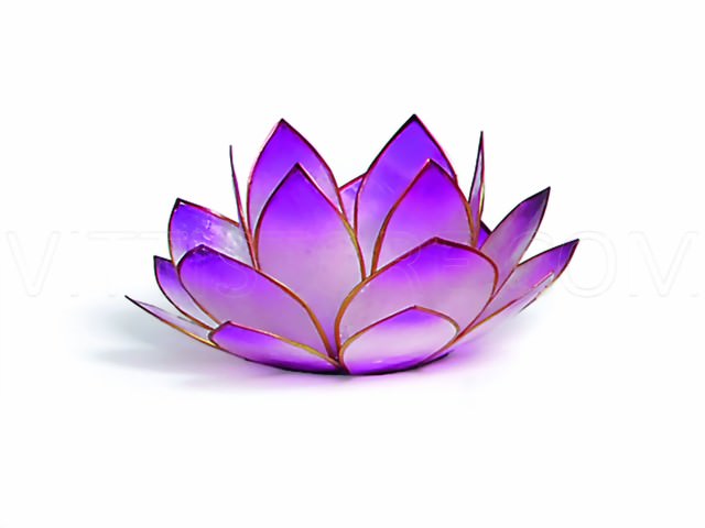 Bild von Lotus-Licht Sonnenaufgang lavendel