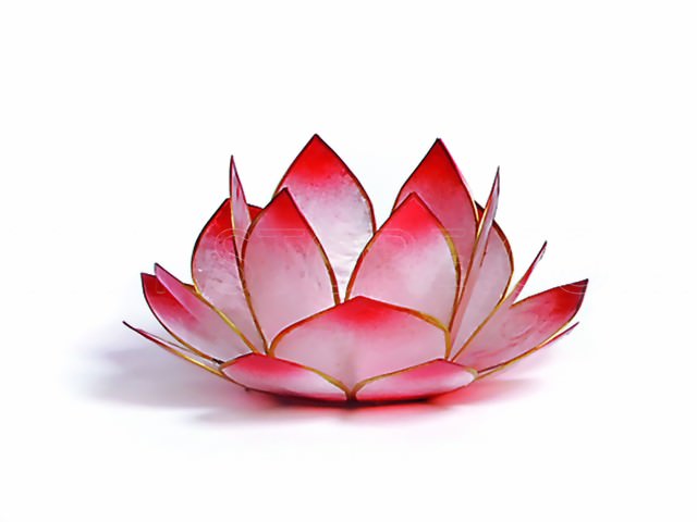 Bild von Lotus-Licht Sonnenaufgang rosé