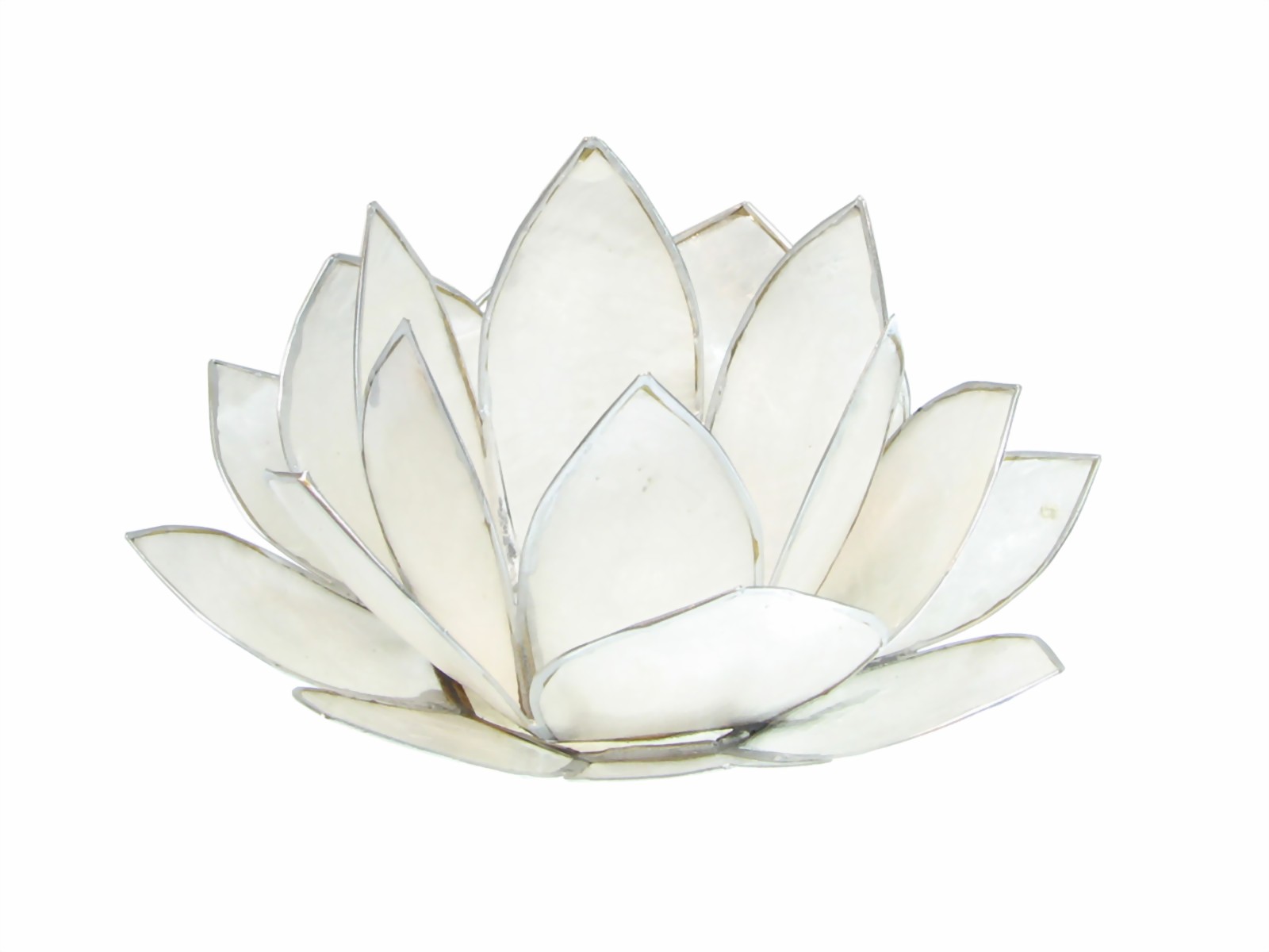 Bild von Lotus-Licht Sonnenaufgang weiß