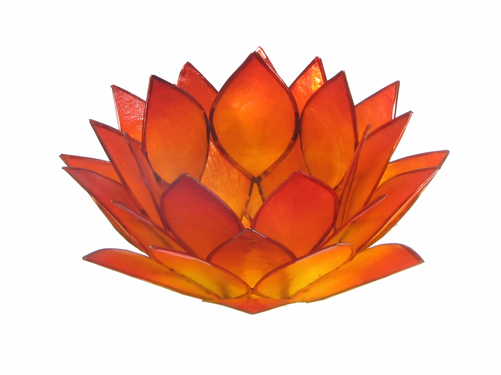 Bild von Lotus-Licht Morgentau warmes orange