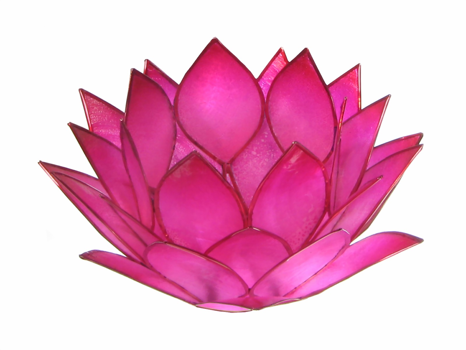 Bild von Lotus-Licht Morgentau beeriges pink