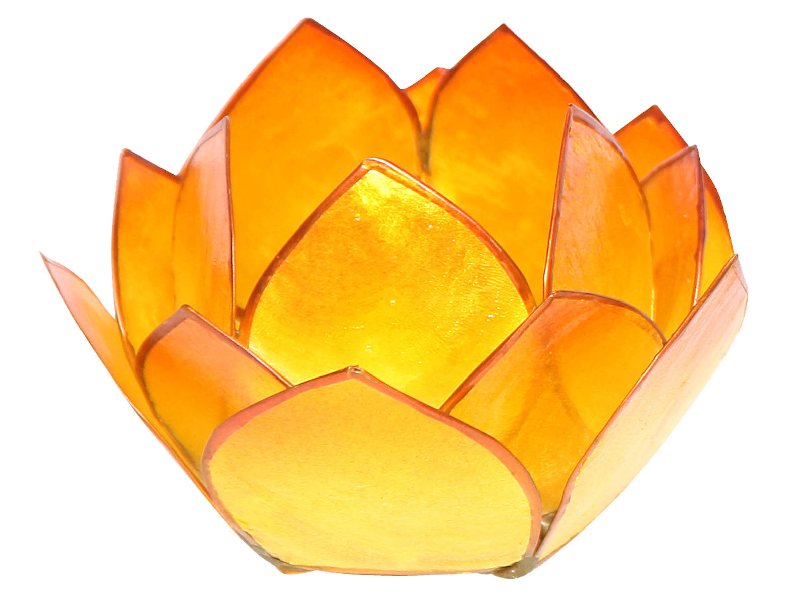 Bild von Lotus-Licht Abendsonne gelb-orange