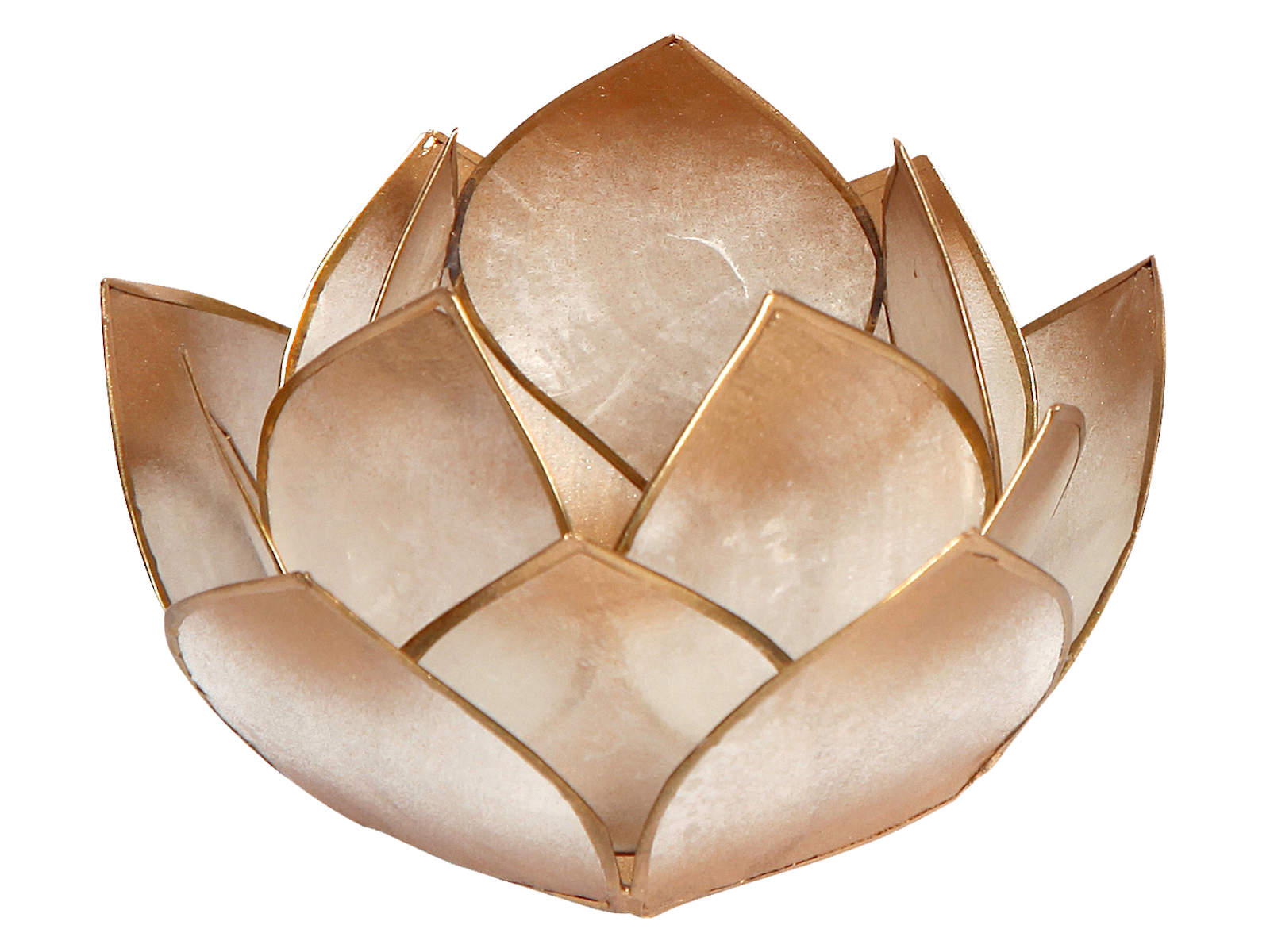 Bild von Lotus-Licht Abendsonne gold