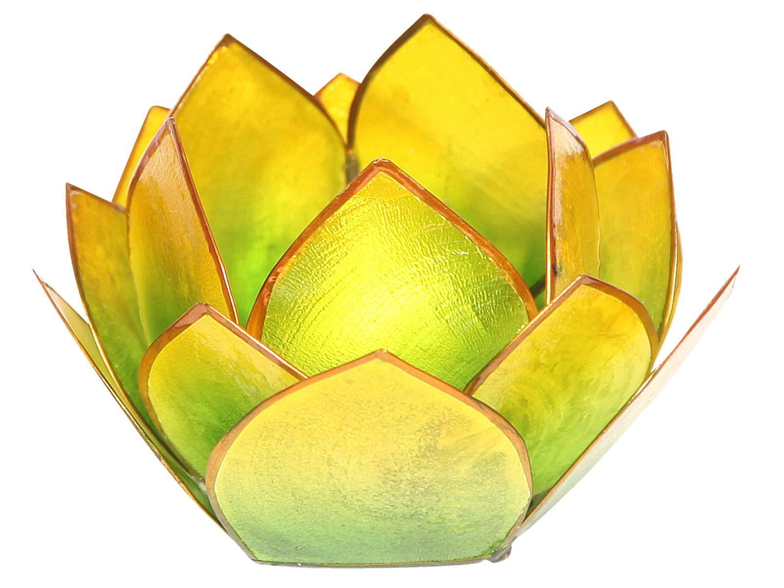 Bild von Lotus-Licht Abendsonne grün-gelb