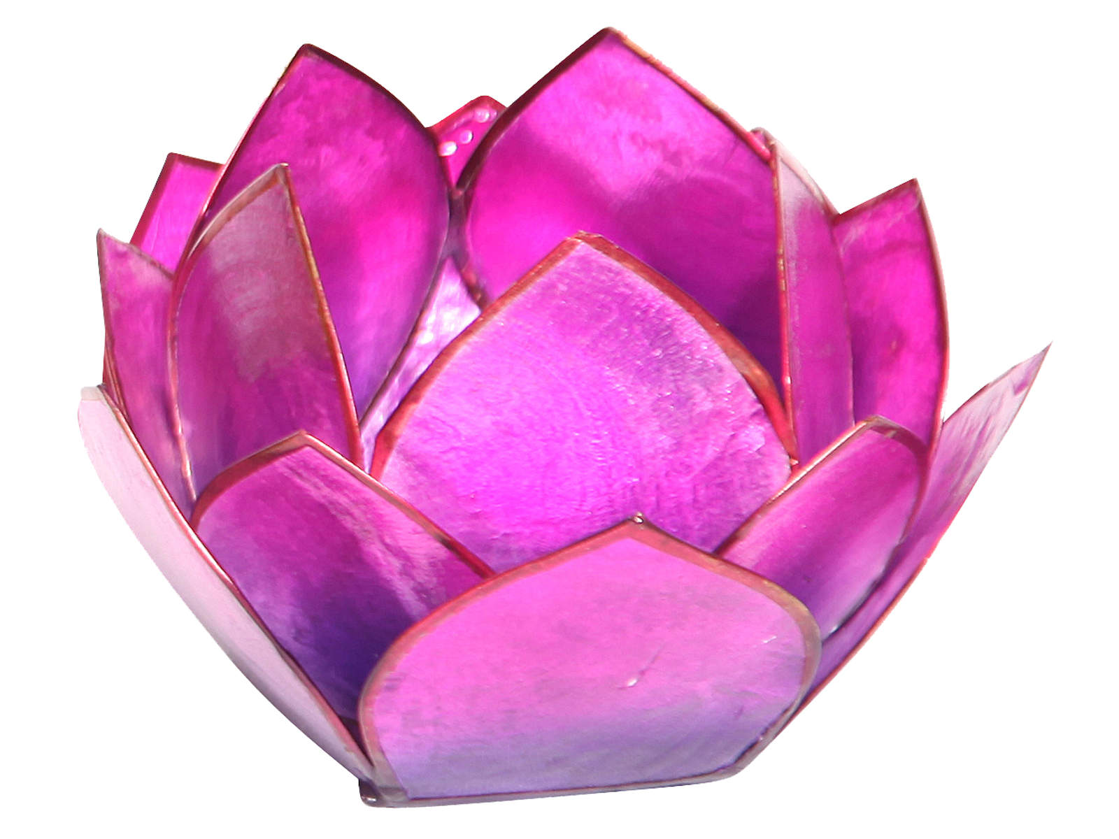 Bild von Lotus-Licht Abendsonne violett