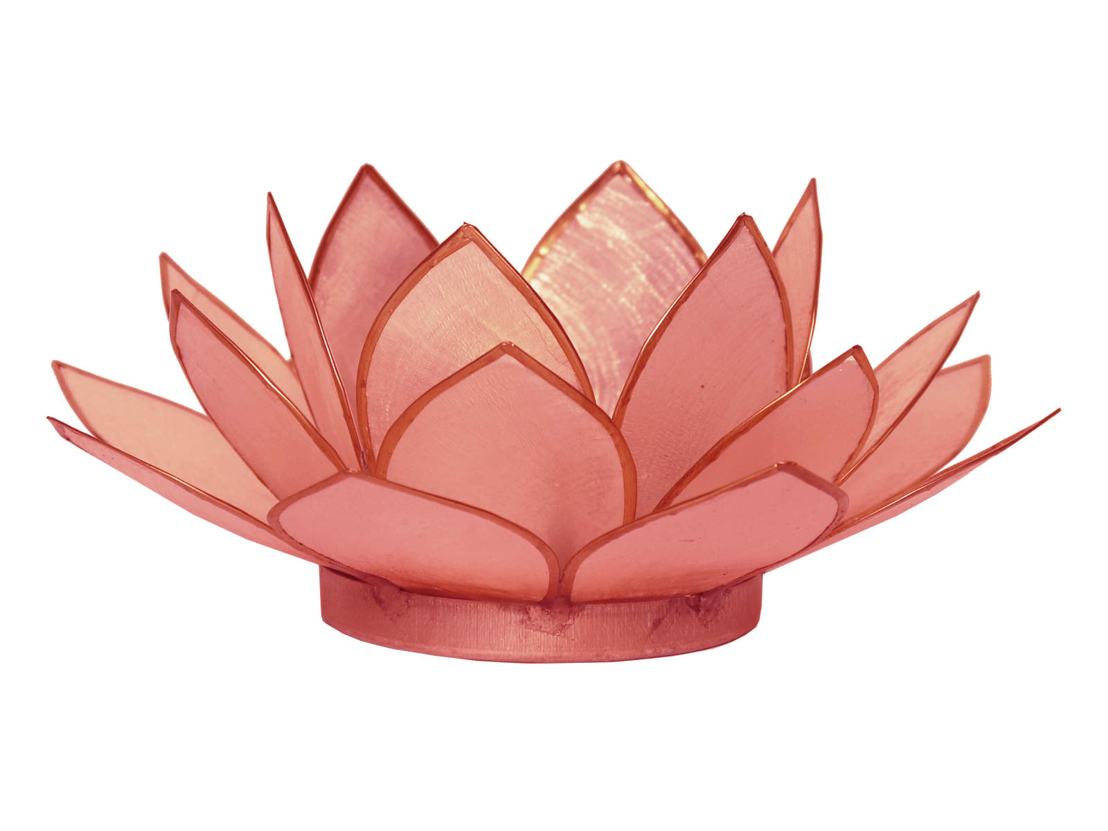 Bild von Lotus-Licht Frühjahrssonne coralrot