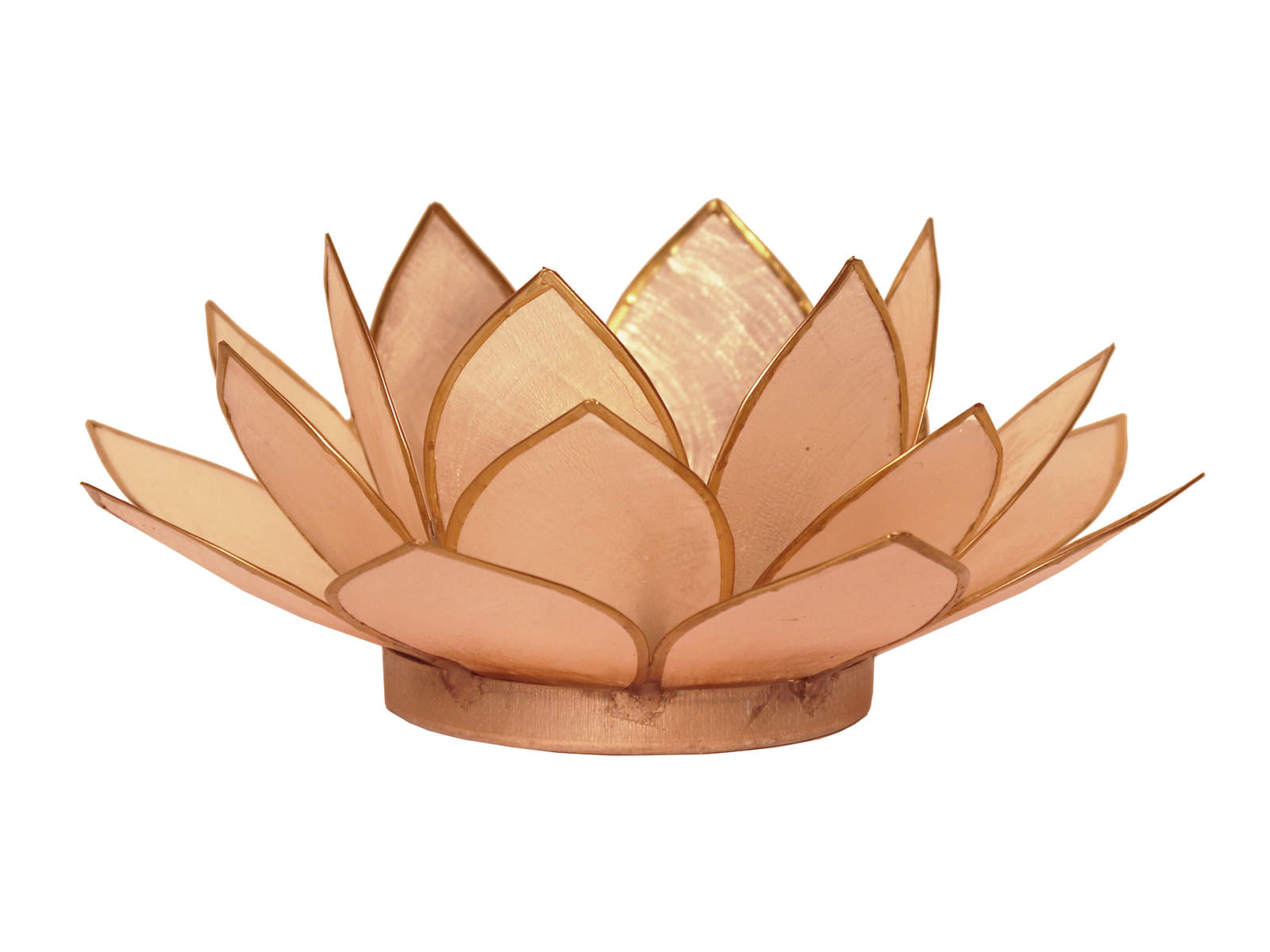 Bild von Lotus-Licht Frühjahrssonne pfirsichorange