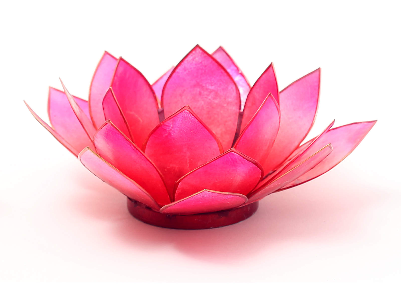 Bild von Lotus-Licht Sommersonne coralpink