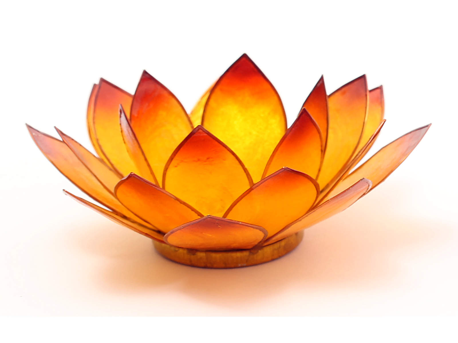 Bild von Lotus-Licht Sommersonne goldgelb