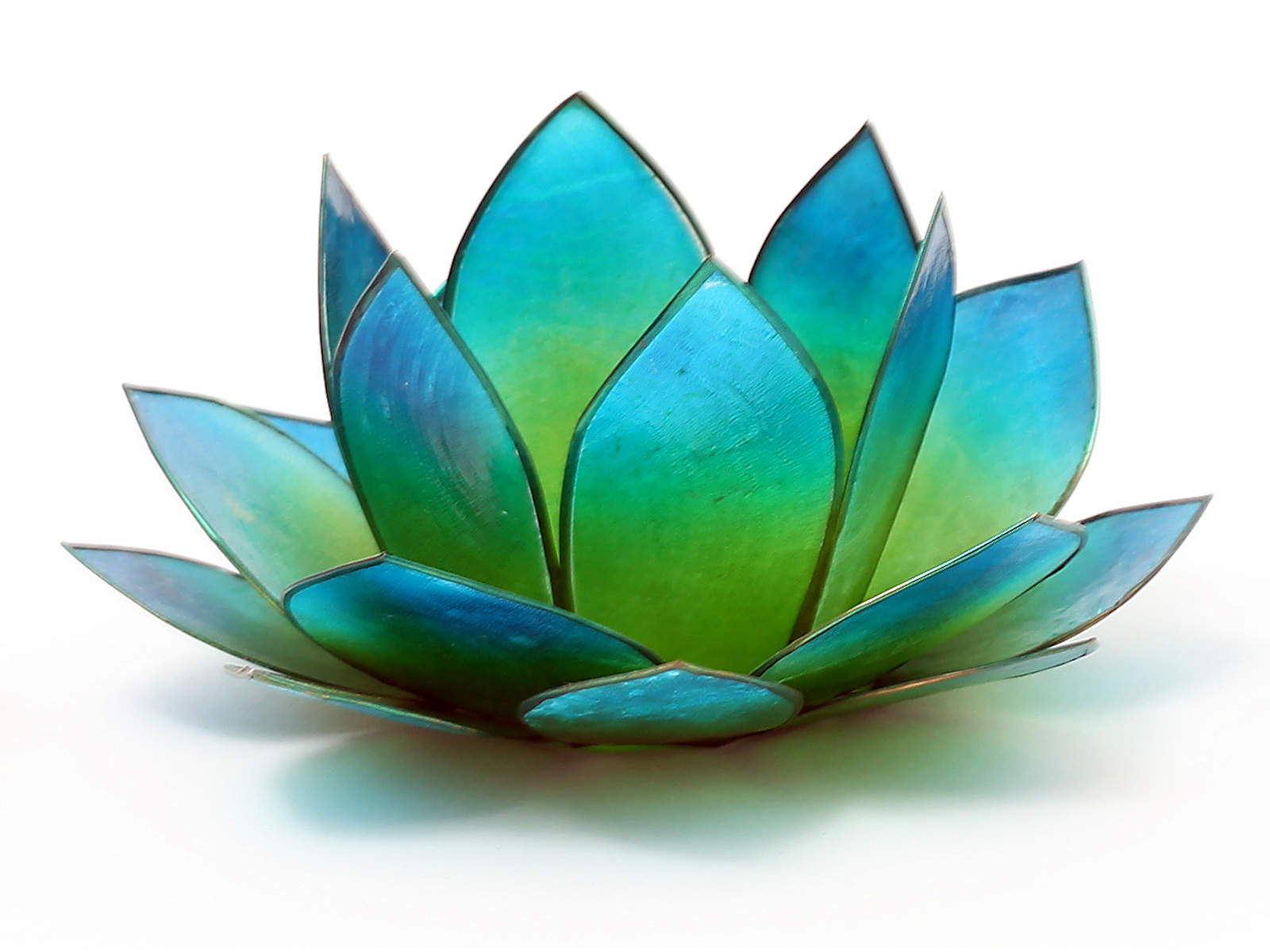 Bild von Lotus-Licht Sonnenaufgang grün-türkis