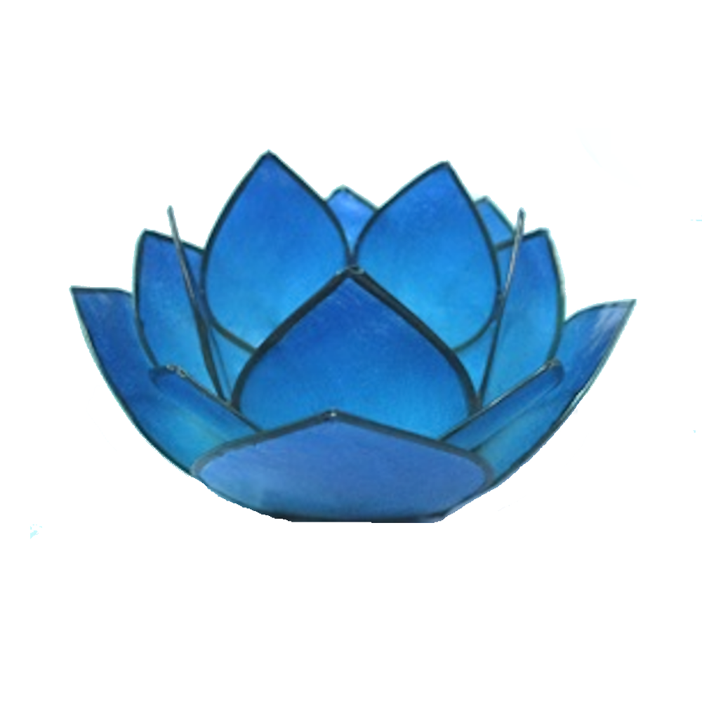 Bild von Lotus-Licht Abendsonne atlantikblau