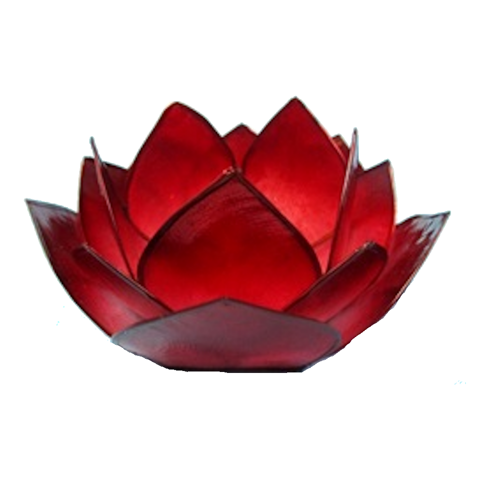 Bild von Lotus-Licht Abendsonne coralpink