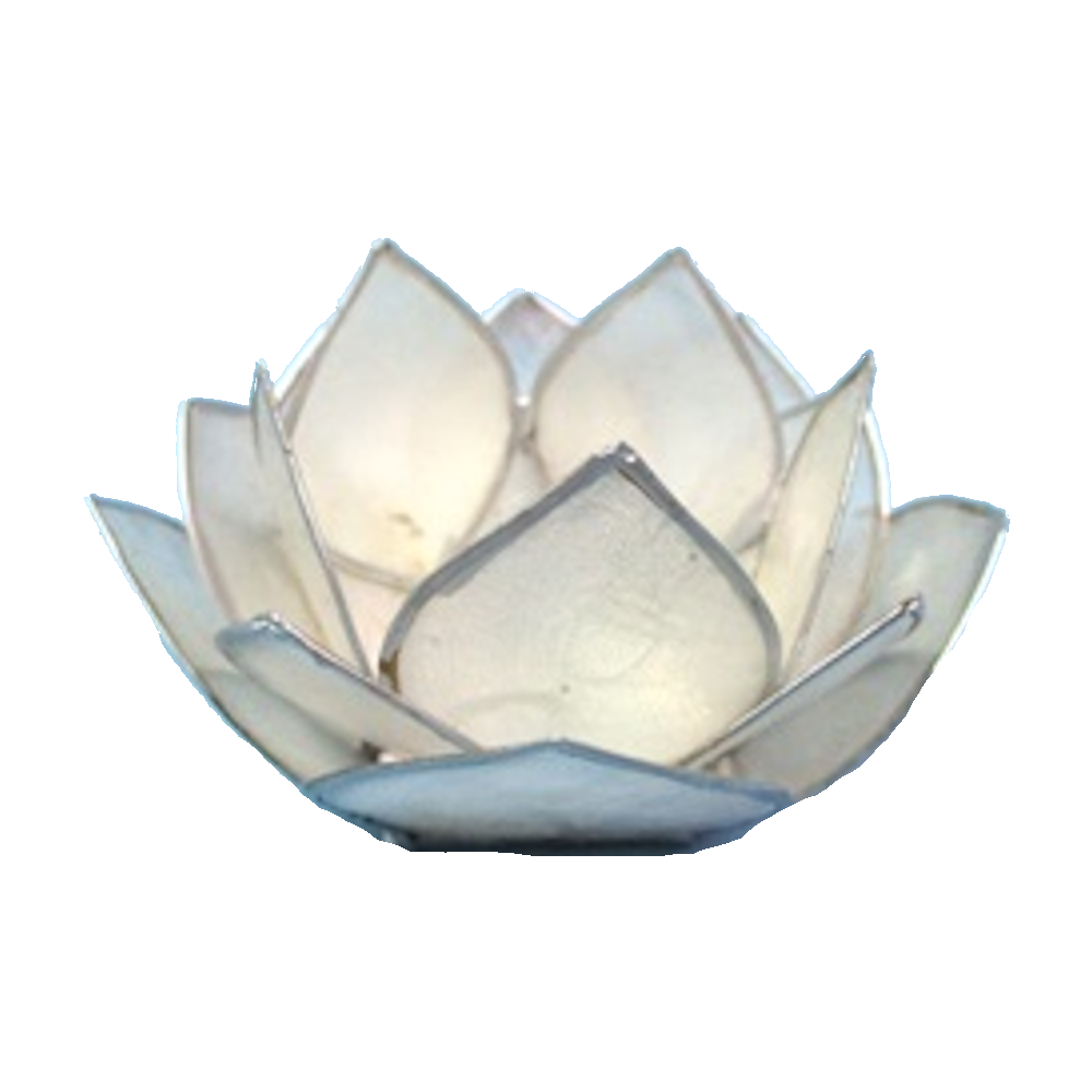 Bild von Lotus-Licht Abendsonne weiß