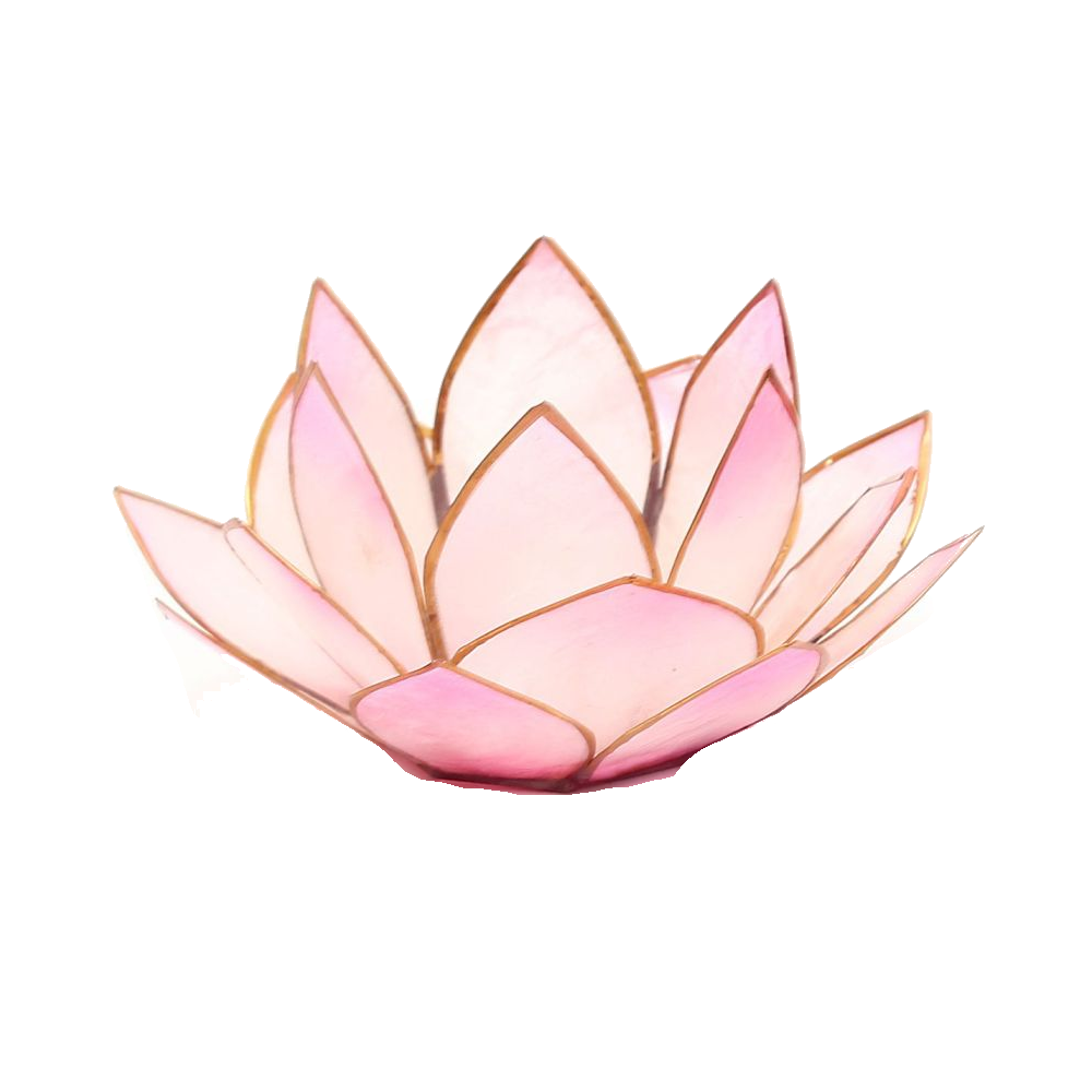 Bild von Lotus-Licht Sonnenaufgang soft rosé