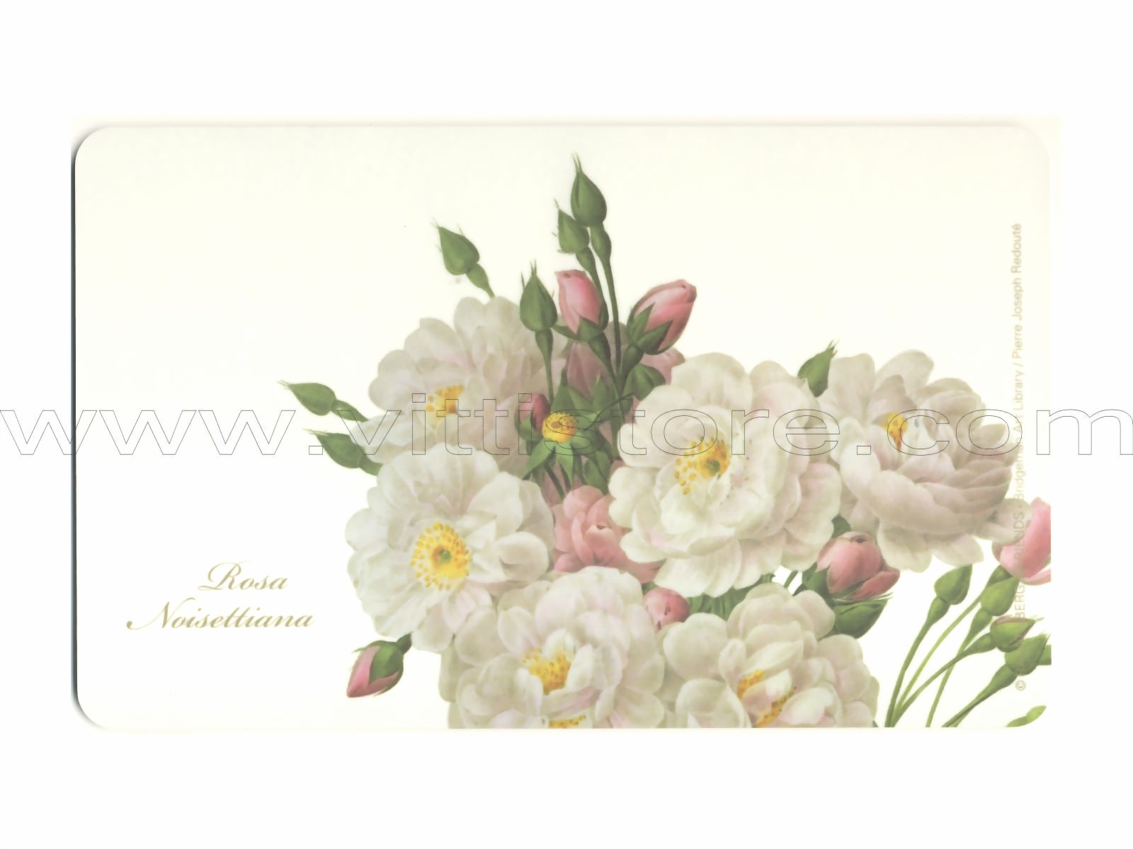 Bild von Frühstücksbrettchen Rosa Noisettiana