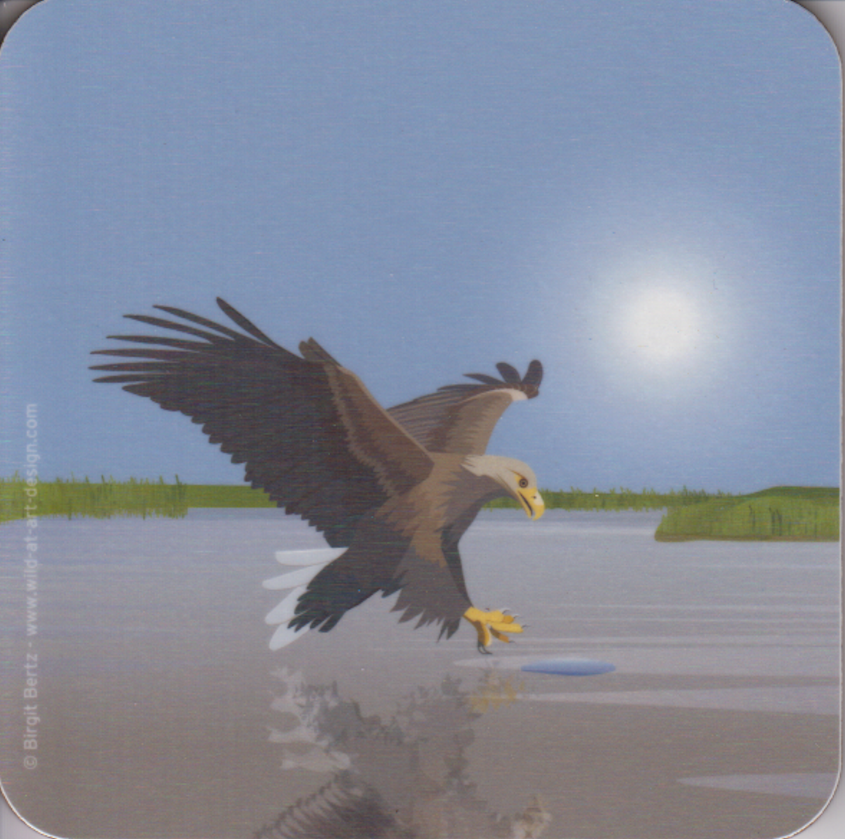 Bild von Wild at Art Coaster - Seeadler Untersetzter