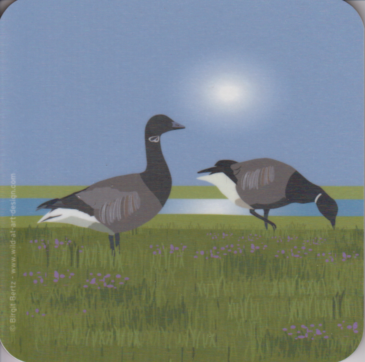 Bild von Wild at Art Coaster - Ringelgans Untersetzter