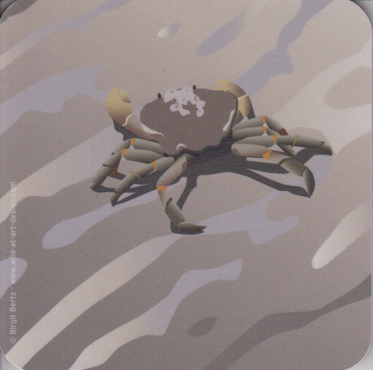 Bild von Wild at Art Coaster - Strandkrabbe Untersetzter